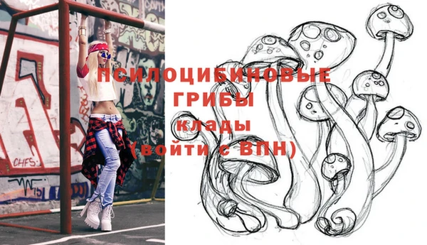 a pvp Горняк
