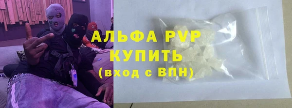 ГАЛЛЮЦИНОГЕННЫЕ ГРИБЫ Вяземский