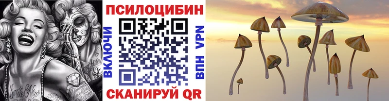 что такое   Дальнереченск  Галлюциногенные грибы Magic Shrooms 
